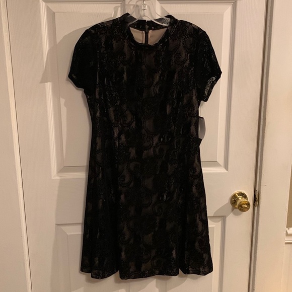 Cynthia Steffe Dresses & Skirts - NEW Cynthia Steffens Lace Midi Dress